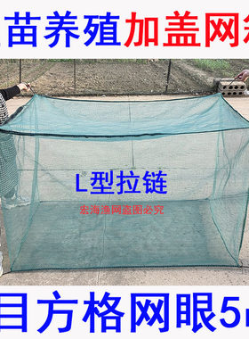 5目5㎜泥鳅黄鳝鱼苗养殖加盖网箱