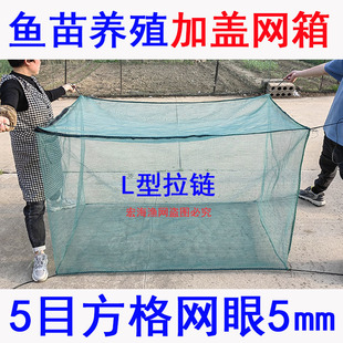 5目鱼苗养殖网箱泥鳅黄鳝鱼小龙虾防逃网箱存鱼育苗养鱼加盖网箱