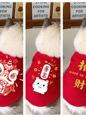 宠物猫咪新年衣服冬季蓝猫幼崽英短冬装红色过年装喜庆卫衣防掉毛