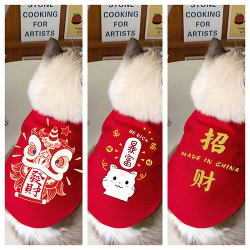 宠物猫咪新年衣服冬季蓝猫幼崽英短冬装红色过年装喜庆卫衣防掉毛