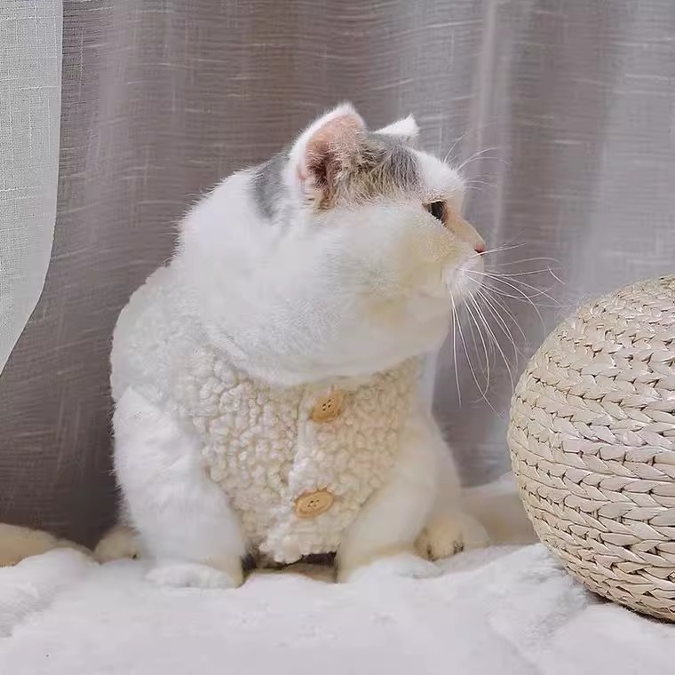 猫咪秋冬装保暖羊羔毛马甲加厚棉衣布偶小猫幼猫两脚衣宠物棉马甲