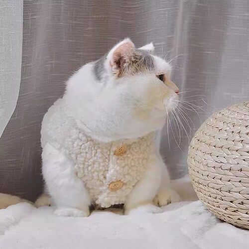 猫咪秋冬装保暖羊羔毛马甲加厚棉衣布偶小猫幼猫两脚衣宠物棉马甲