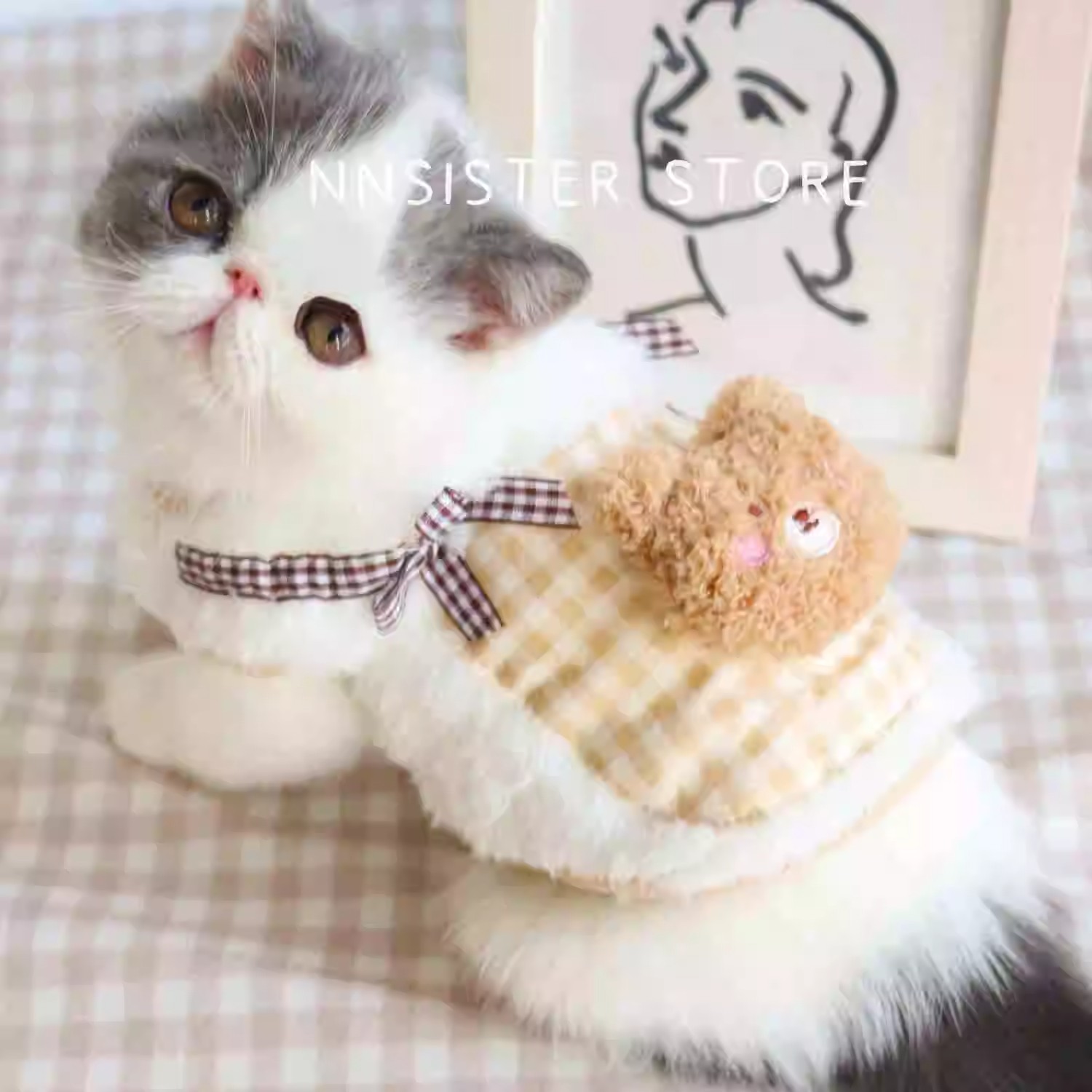 猫咪衣服秋冬季防掉毛保暖加绒马甲背心加菲猫英短布偶猫宠物棉衣