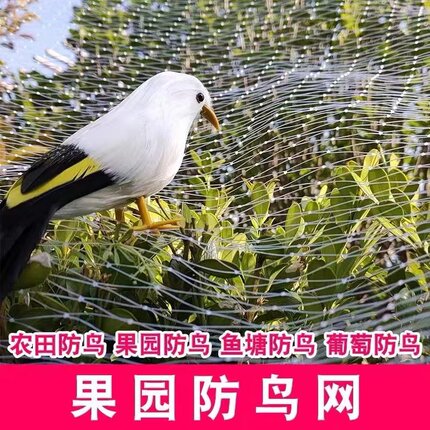 尼龙防鸟网果树防鸟用的网防鸟丝网葡萄大棚果园用网养殖天网