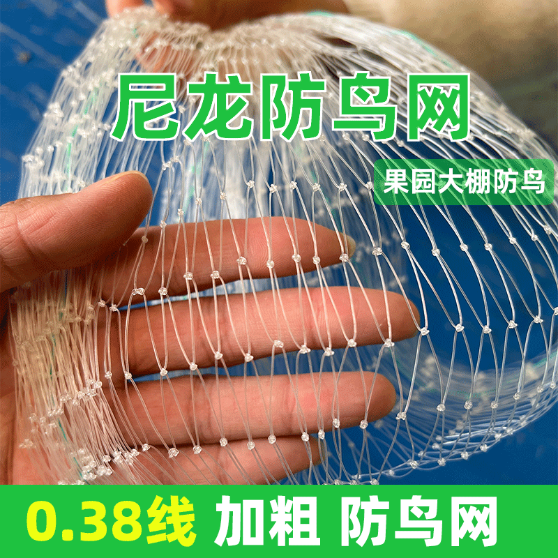 0.38线尼龙加粗果园全包围防鸟网