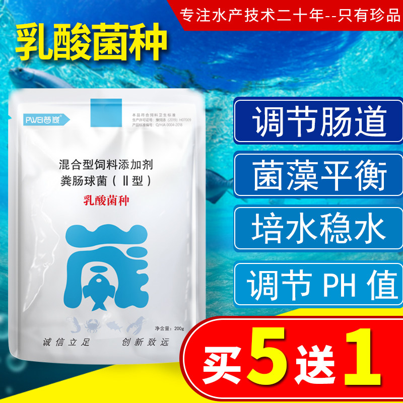 粪肠球菌乳酸菌水产养殖降Ph