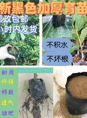 槟榔育苗袋水果育苗袋桉树营养袋黑色加厚种植袋苗圃树苗育苗袋子