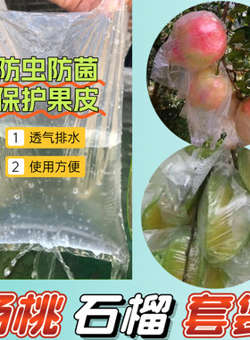 白玉石榴套袋 百香果套袋 芭乐番石榴外袋 杨桃套 水果透明薄膜袋