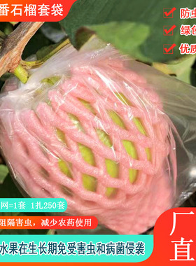 番石榴网套袋 芭乐防虫网袋 粉色石榴套袋 红色水果网套袋果袋