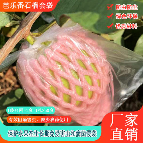 番石榴网套袋 芭乐防虫网袋 粉色石榴套袋 红色水果网套袋果袋