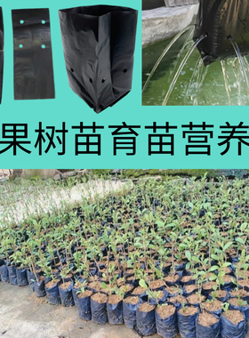 咖啡育苗袋茶树育苗袋桉树营养袋黑色加厚种植袋苗圃茉莉育苗袋子