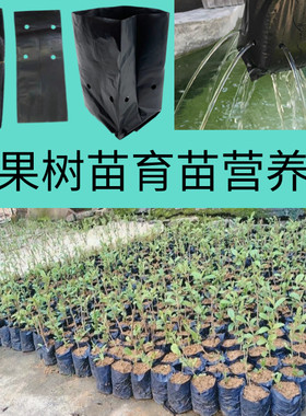 咖啡育苗袋茶树育苗袋桉树营养袋黑色加厚种植袋苗圃茉莉育苗袋子