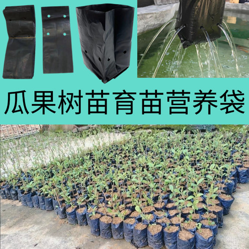 咖啡育苗袋茶树育苗袋桉树营养袋黑色加厚种植袋苗圃茉莉育苗袋子