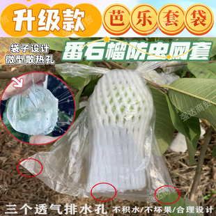 芭乐套袋番石榴网套袋一体袋杨桃套袋水果防虫网套 实透水透气膜