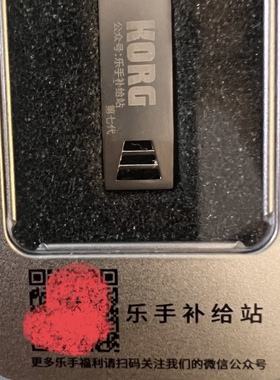 KORG pa300pa600pa900pa3xpa1000pa4xpa700音色节奏包电子琴用U盘