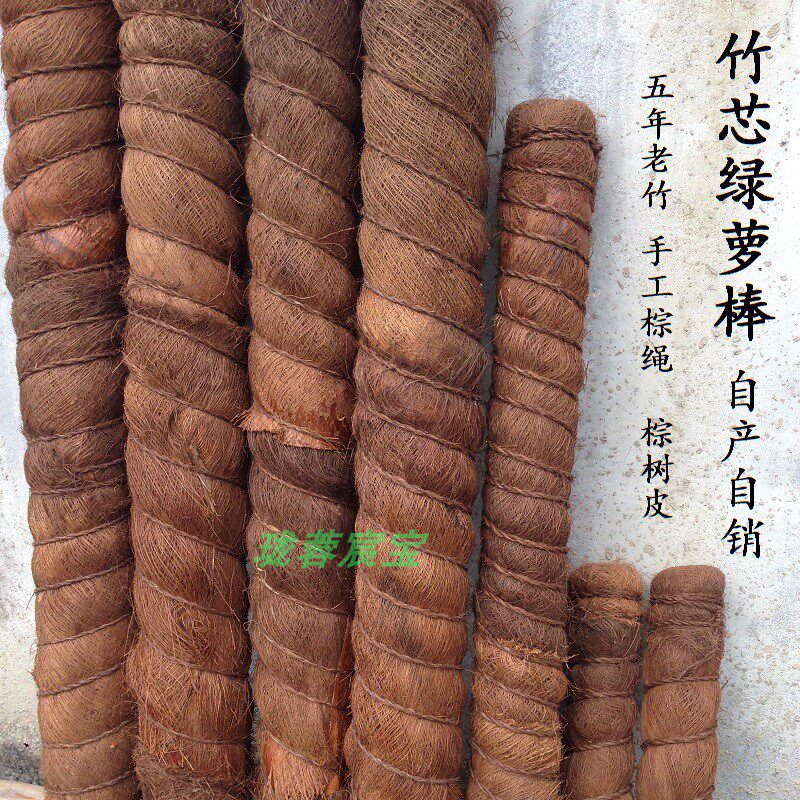 椰棕棒椰棕定型龟背竹大叶绿萝柱