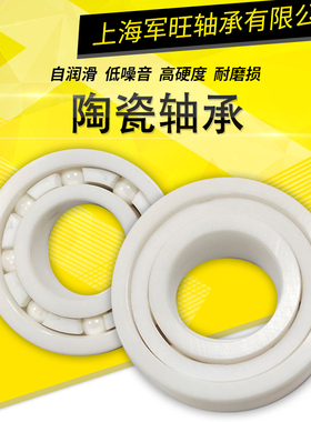 氧化锆陶瓷深沟球轴承6013CE 6014 6015 6016 6017 6018无磁绝缘