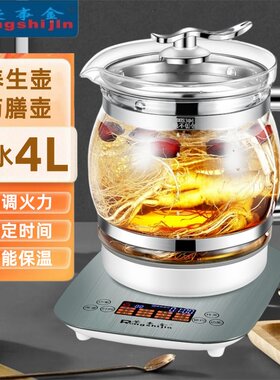 荣事金多功能大容量电炖锅