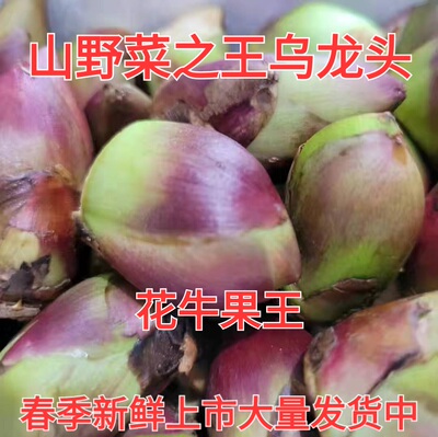 甘肃天水特产小吃野菜乌龙头木龙头乌刺菜野菜真空包装2斤包邮