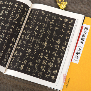 正版书籍 柳公权楷书 中国历代书法名家名品系列 吴行编 柳体毛笔楷书书法字帖临摹范本 简体旁注 中国唐代 河南美术出版社