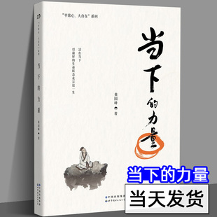正版 当下的力量 黄国峰著 活在当下平常心大自在系列文学励志正能量活在当下专注眼前大众心理学台湾心智教育大师黄国峰全新力作
