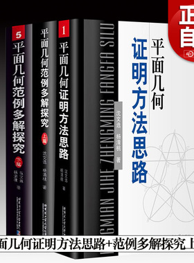 【正版全3册】 平面几何证明方法思路+范例多解探究上下篇 沈文选数学定理公式问题方法技巧初高中奥数竞赛参考书 正版包邮