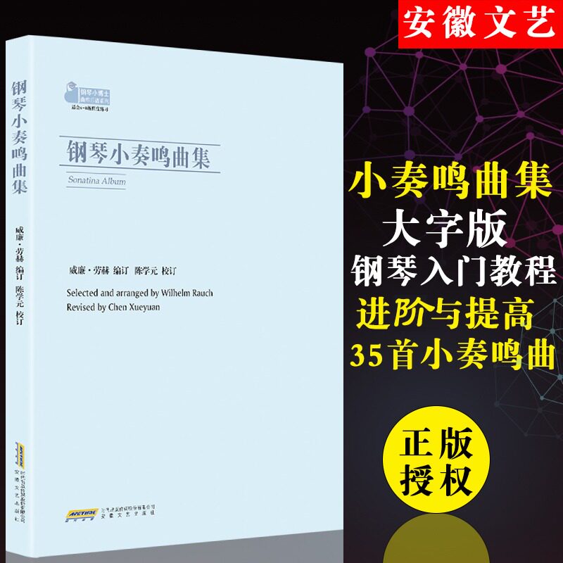 钢琴小奏鸣曲集 陈学元 钢琴曲集入门教程大字版舒伯特巴赫贝多芬莫扎特克列门蒂大调钢琴初级入门教程 钢琴基础练习曲集教材书