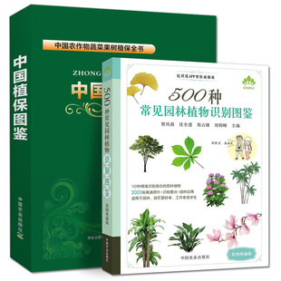 2023新版中国植保病虫草害图谱大全暨防治宝典 农作物蔬菜果树农田杂草葡萄病虫害防治百科 农业经济作物病虫害诊治图谱农药技术