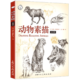 动物画技法 动物素描 西方经典美术技法译丛 零基础铅笔书 专业手绘训练画画本 临摹范本美术写生初学教程教材 素描 猫咪狗狗艺术