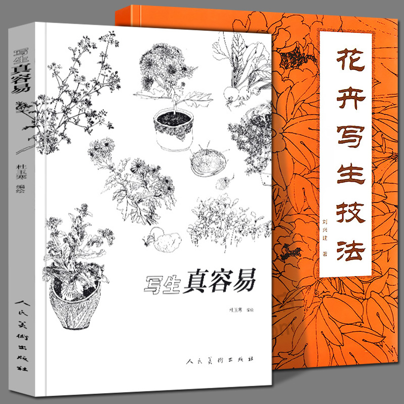 2册  写生真容易 +花卉写生技法美术绘画练习教材 写生方法步骤教程书 自然植物花卉静物素描写生书 风景写生初学者入门书籍人美