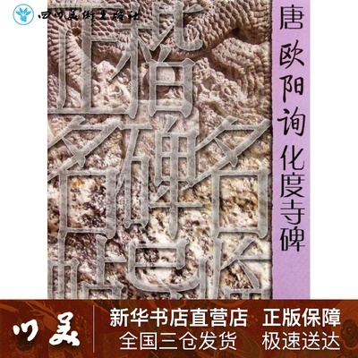 唐欧阳询化度寺碑 正楷名碑名帖导临 中国书法大全欧阳询名家碑帖临摹字帖技法解析赏析书历代名家碑帖临摹赏析山东美术