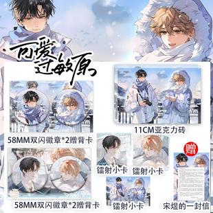 可爱过敏原周边双闪徽章吧唧镭射小卡亚克力砖线下衍生周边二期