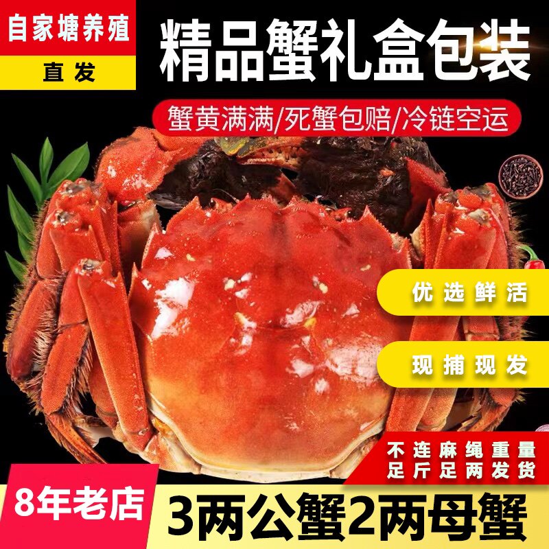 【活蟹】大闸蟹鲜活现货特大公母大闸蟹