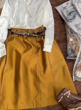 欧货2023春新款 时尚气质款丝毛A字灯笼裙松紧腰半身裙女简约