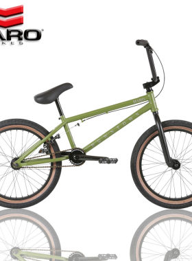 USA HARO小轮车DOWNTOWN DLX万向转自由式BMX动作花式街式自行车