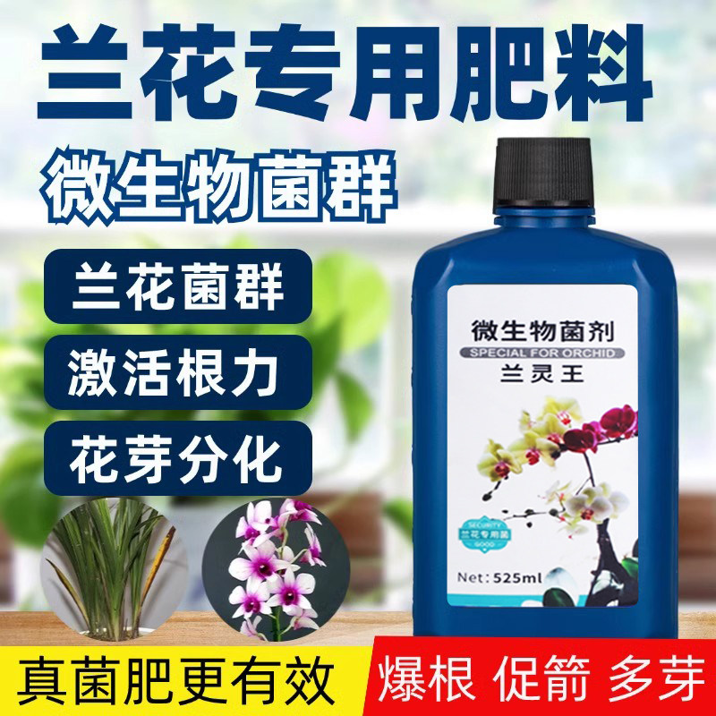 龙城兰灵王兰花专用营养液肥料图片