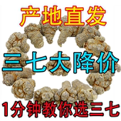 云南文山三七20头30头40头春三七头田七500g可代磨三七粉正品 包邮