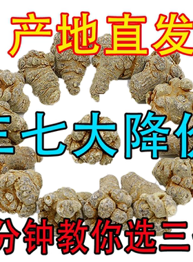 云南头春500g可代磨正品包邮三七