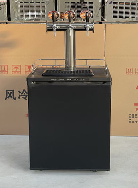 双头精酿啤酒机风冷扎啤机商用生啤机kegerator水冷打酒制冷设备