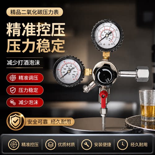 啤酒co2家酿双出二氧化碳