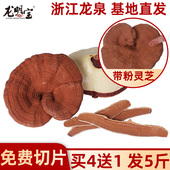 龙明宝龙泉灵芝紫灵芝段木灵芝片赤灵芝切片林芝一斤装 赤芝500g
