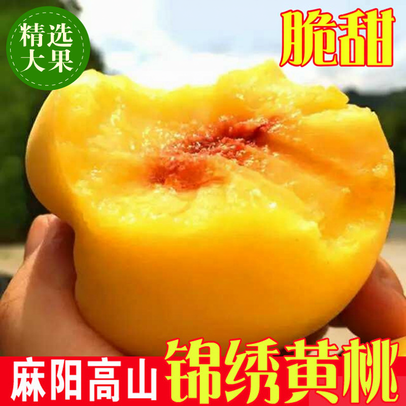 正宗湖南麻阳高山锦绣黄桃新鲜水果5斤包邮当季现摘超甜红心桃子