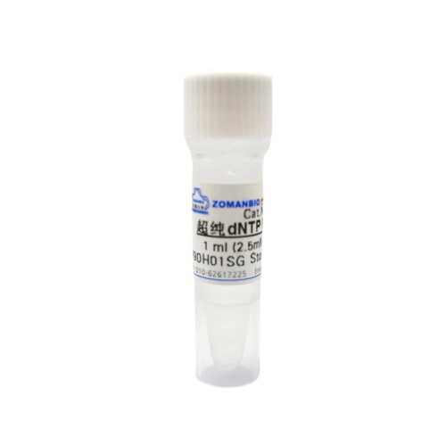 超纯 dNTP Mixture (2.5 mM each) dNTPs