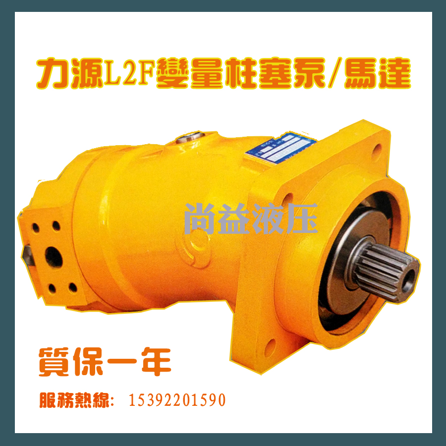 挖机履带吊行走马达卷扬马达L2F10W2Z7贵州力源北京华德