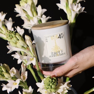 吾所味纯植物蜡花果香草木调香薰蜡烛礼盒情绪疗愈生日七夕礼物