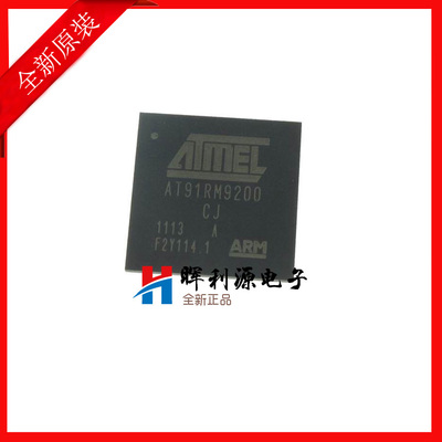 AT91RM9200-CJ-002 BGA256 单片机 全新进口原装 询价再拍