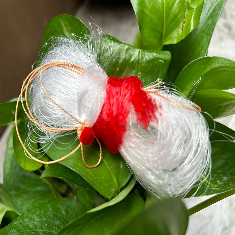 新款螃蟹网霸王捆海用皮皮虾赶海