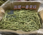 现货加拿大美国提摩西草段加提雪提美提兔子龙猫一番一压草段