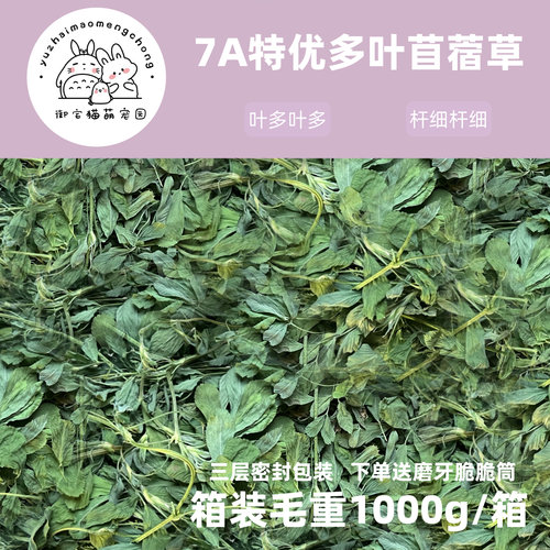 包邮精品优质紫花苜蓿草1kg兔子