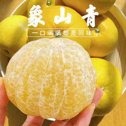 正宗象山青柑橘当季春香当季柚小柚子柠檬蜜橘纯甜爆汁不上火橘柚